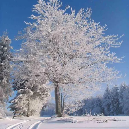 Familie Becher Aschberg Apartment Klingenthal
