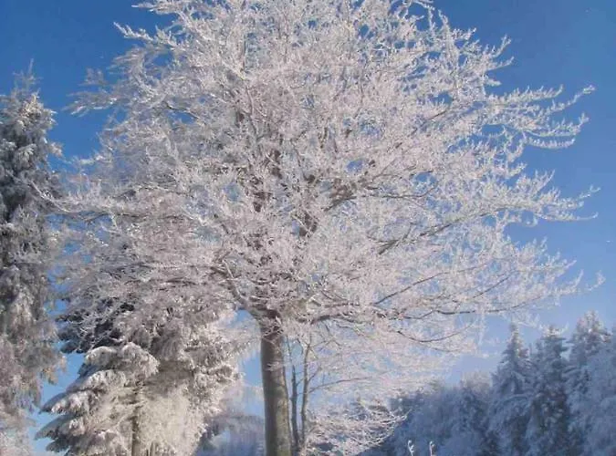 Familie Becher Aschberg Apartment Klingenthal